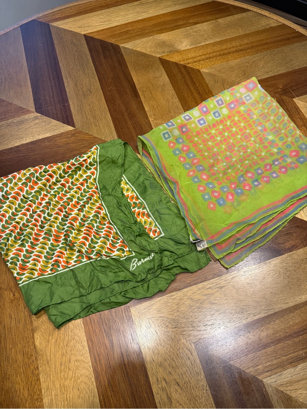 Burmel Green Multicolor Silk Scarf - Women's Wrap